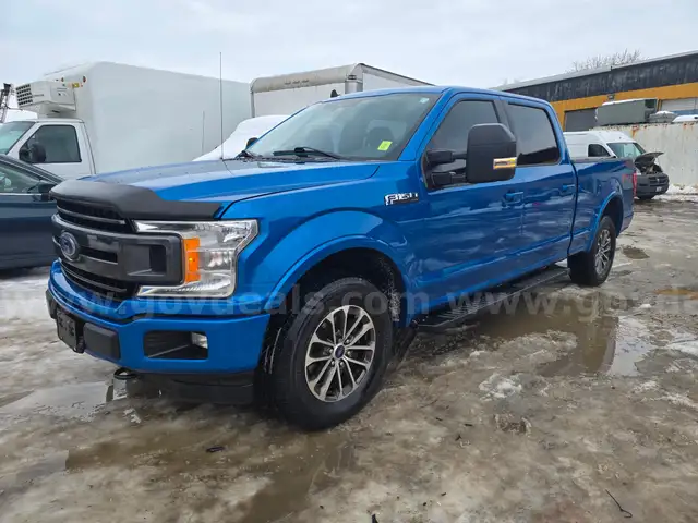 2019 Ford F-150 XLT SuperCrew 6.5-ft. Bed 4WD