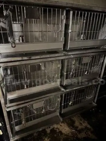 Six Cage Rabbit Racks