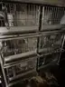 Six Cage Rabbit Racks