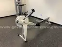 Lot of Fitness Equipment (machines, dumbbells, etc.)