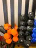Lot of Fitness Equipment (machines, dumbbells, etc.)
