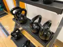 Lot of Fitness Equipment (machines, dumbbells, etc.)
