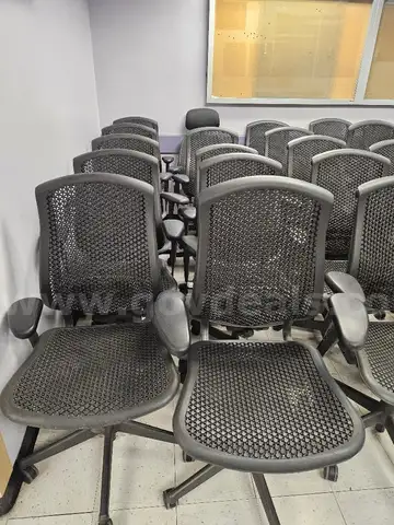 150-200 Celle chairs