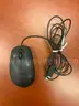 Computer Mice