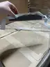 Face shield with clear Mask - QTY 3 Pallets