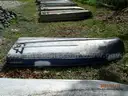 DEP Boat G7 2025