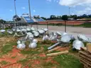 52 Aluminum Lights, 16 MUSCO Electrical Boxes, 40 (approx.) Ballasts