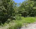 0.26 Acre Lot Arkansas (Cherokee Village) AKICITA DR