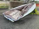 Vanguard Laser personal sail boat - no sail - on small trailer
