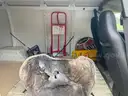 2001 Dodge Ram Van - engine fire