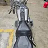 1996 Harley-Davidson FLSTF