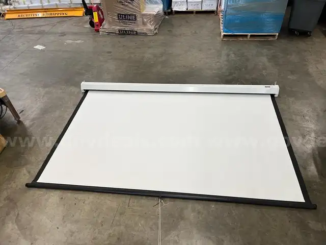 Da-Lite Model C w/ CSR Projector Screen #4