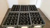 Lot of 356 &#x2013; Toyota Clock Spring 89245-02070