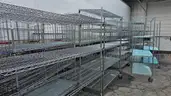 Lot of 30 Stainless Steel Wire Shelving Units with Wheels