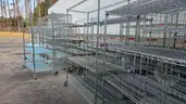 Lot of 30 Stainless Steel Wire Shelving Units with Wheels