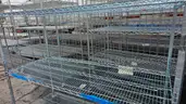 Lot of 30 Stainless Steel Wire Shelving Units with Wheels