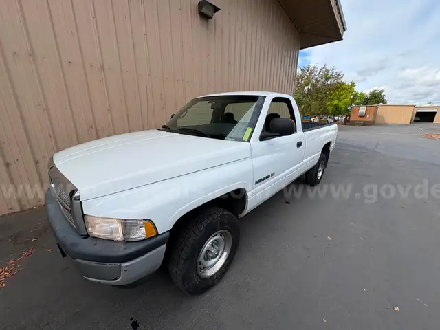 2001 Dodge Ram 1500 ST Reg. Cab Long Bed 4WD  #21