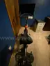 PELOTON BIKE 2 YEARS OLD