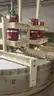 Complete Wheats Breakfast Cereal Production Line