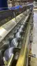 Complete Wheats Breakfast Cereal Production Line