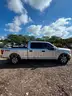 2019 Ford F-150 XLT SuperCrew 6.5-ft. Bed 4WD