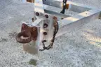 attenuator trailer