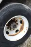 2014 SRICK van trailer