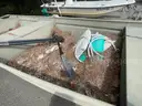 Godfrey Marine Polar Kraft boat with Yamaha motor on Trailer