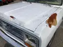 1989 Dodge D150 Pickup Truck