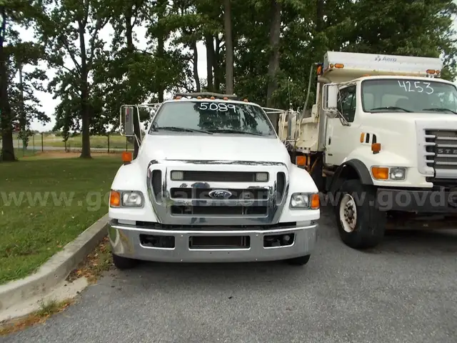 2015 Ford F-650