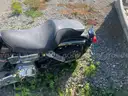 1998 Harley-Davidson FXD