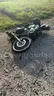 1998 Harley-Davidson FXD