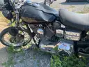 1998 Harley-Davidson FXD