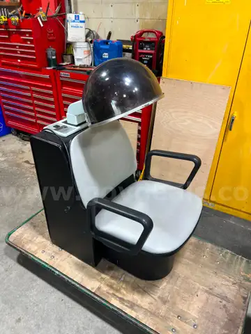 Horizon Hair Dryer &#x26; Chair Combo