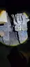 Electric Furnace