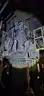 Electric Furnace