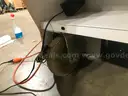 Noah Select System W/ POWER CORD