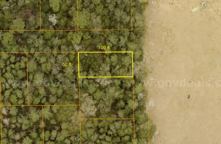 5000 sq. ft. undeveloped lot near Lake Beresford, Volusia County, FL - Central Florida Land - No Reserve