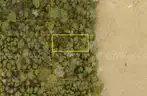 5000 sq. ft. undeveloped lot near Lake Beresford, Volusia County, FL - Central Florida Land - No Reserve