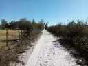 5000 sq. ft. undeveloped lot near Lake Beresford, Volusia County, FL - Central Florida Land - No Reserve