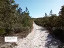 5000 sq. ft. undeveloped lot near Lake Beresford, Volusia County, FL - Central Florida Land - No Reserve