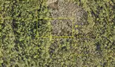 1.25 Acres near DeLeon Springs, Volusia County, FL - Central Florida Land, No Reserve