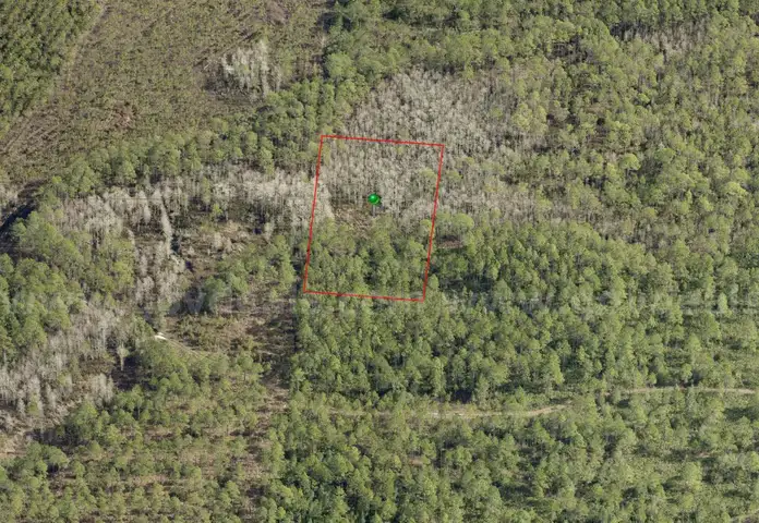 1.25 Acres near DeLeon Springs, Volusia County, FL - Central Florida Land, No Reserve