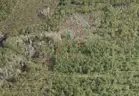 1.25 Acres near DeLeon Springs, Volusia County, FL - Central Florida Land, No Reserve