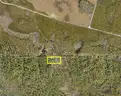 1.25 Acres near DeLeon Springs, Volusia County, FL - Central Florida Land, No Reserve