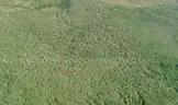 2.5 Acres near DeLeon Springs, Volusia County, FL - Central Florida Land, No Reserve