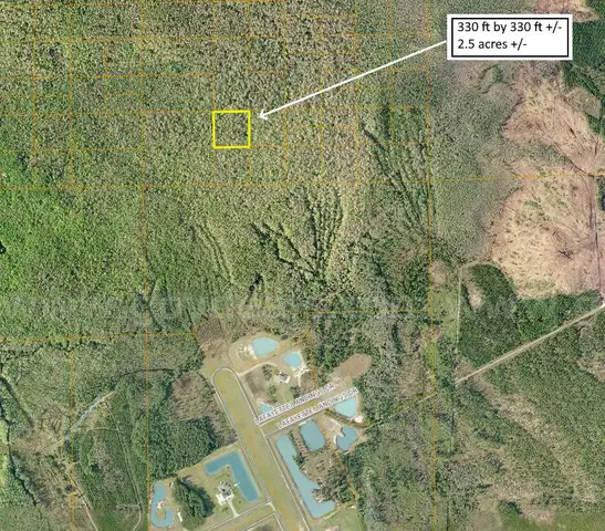 2.5 Acres near DeLeon Springs, Volusia County, FL - Central Florida Land, No Reserve