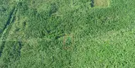 1.25 Acres near Near I-4 and SR-44 Interchange, Deland, FL - Central Florida Land, Volusia County, No Reserve