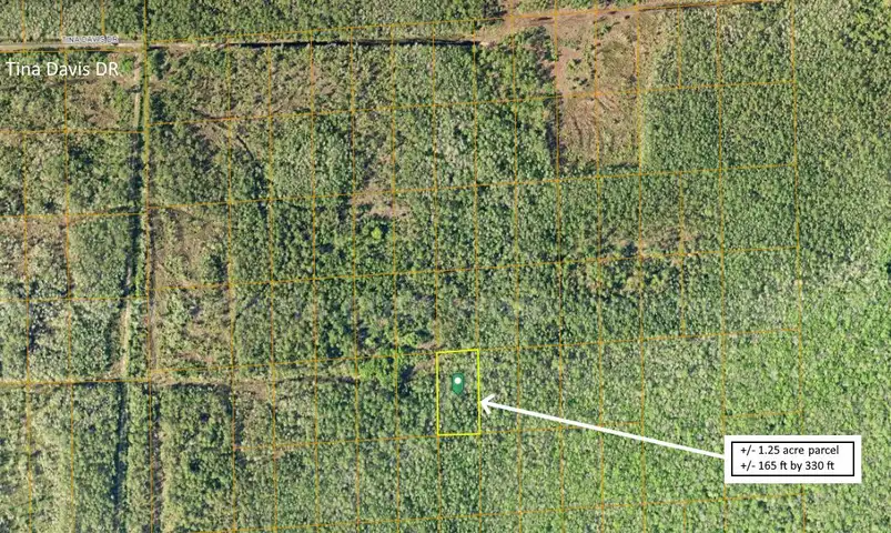 1.25 Acres near Near I-4 and SR-44 Interchange, Deland, FL - Central Florida Land, Volusia County, No Reserve