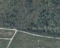 +/- 6500 sq. ft. undeveloped lot near Lake Beresford, Volusia County, FL - Central Florida Land - No Reserve